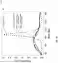 Fig. 19 - METHOD OF NUCLEAR DNA AND MITOCHONDRIAL DNA ANALYSIS