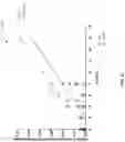 Fig. 22 - METHOD OF NUCLEAR DNA AND MITOCHONDRIAL DNA ANALYSIS