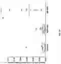 Fig. 24 - METHOD OF NUCLEAR DNA AND MITOCHONDRIAL DNA ANALYSIS