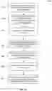 Fig. 27 - METHOD OF NUCLEAR DNA AND MITOCHONDRIAL DNA ANALYSIS