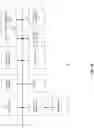 Fig. 29 - METHOD OF NUCLEAR DNA AND MITOCHONDRIAL DNA ANALYSIS