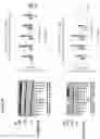 Fig. 05 - COMPOSITIONS AND METHODS FOR THE DIAGNOSIS AND TREATMENT OF LYMPHATIC SYSTEM DISORDERS