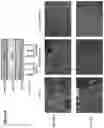 Fig. 17 - COMPOSITIONS AND METHODS FOR THE DIAGNOSIS AND TREATMENT OF LYMPHATIC SYSTEM DISORDERS