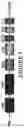 Fig. 09 - Targeting treatment for ADAM30 in pathological cells