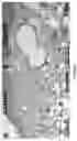 Fig. 10 - Targeting treatment for ADAM30 in pathological cells