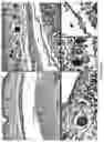 Fig. 17 - Targeting treatment for ADAM30 in pathological cells