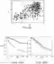 Fig. 29 - PROGNOSTIC TUMOR BIOMARKERS