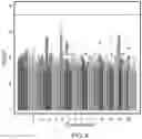 Fig. 09 - Methods and materials for using measles viruses