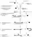 Fig. 01 - Methods and compositions for influenza a virus subtyping
