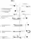 Fig. 02 - Methods and compositions for influenza a virus subtyping