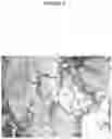 Fig. 02 - COMPOSITION AND METHOD OR RECOVERING RARE-EARTH ELEMENTS