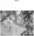 Fig. 08 - COMPOSITION AND METHOD OR RECOVERING RARE-EARTH ELEMENTS