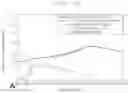 Fig. 09 - High Entropy Alloy with Low Specific Gravity