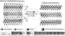 Fig. 01 - Rare earth element MXenes and methods of making thereof