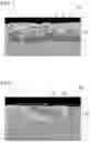 Fig. 02 - Plated steel sheet