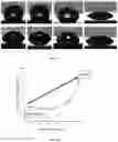 Fig. 05 - TRANSPARENT NANO LAYERED WATER BARRIERS AND METHODS FOR MANUFACTURING THE SAME