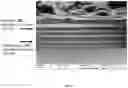 Fig. 08 - TRANSPARENT NANO LAYERED WATER BARRIERS AND METHODS FOR MANUFACTURING THE SAME