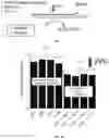 Fig. 09 - TRANSPARENT NANO LAYERED WATER BARRIERS AND METHODS FOR MANUFACTURING THE SAME