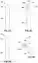 Fig. 14 - Apparatuses and systems for vertical electrolysis cells