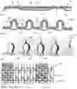 Fig. 02 - HEAT-ACTIVATED CRIMPING TEXTILE