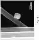 Fig. 11 - SYSTEMS HAVING POLYMERIC FIBERS WITH METALLIC NANOPARTICLES THEREON AND METHODS OF FABRICATION