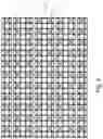 Fig. 05 - Riding surface and method for constructing a riding surface