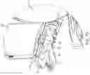 Fig. 10 - SIDE PANEL ASSEMBLY FOR A SNOW PLOW