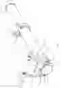 Fig. 04 - CROSSARM FOR AN ELECTRICAL POLE
