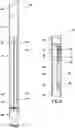 Fig. 03 - FLUID SAMPLER TOOL AND ASSOCIATED SYSTEM AND METHOD