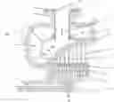 Fig. 01 - Axial turbine with two supply levels