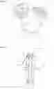 Fig. 02 - Internal combustion engine and method for operating an internal combustion engine