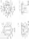 Fig. 37 - Fluid transfer device and method of use for same