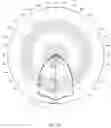 Fig. 10 - LED light distribution structure, light source module and lamp