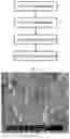 Fig. 02 - Method for inhibiting high temperature corrosion of heat exchange surface of biomass boiler
