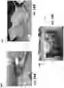 Fig. 17 - Adjustable heat transfer element