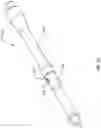 Fig. 19 - Firearm assemblies with multiple gas ports