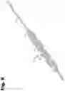 Fig. 10 - Archery arrow rest orthogonal cord force device