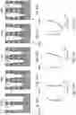 Fig. 11 - Depth profiling of semiconductor structures using picosecond ultrasonics