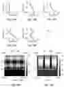 Fig. 13 - Depth profiling of semiconductor structures using picosecond ultrasonics