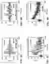 Fig. 07 - SHORT PULSEWIDTH HIGH REPETITION RATE NANOSECOND TRANSIENT ABSORPTION SPECTROMETER