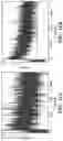 Fig. 10 - SHORT PULSEWIDTH HIGH REPETITION RATE NANOSECOND TRANSIENT ABSORPTION SPECTROMETER