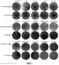 Fig. 03 - METHOD FOR DISPLAYING AND DETECTING TEMPERATURE FIELD DISTRIBUTION OF FLUID SURFACE