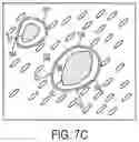 Fig. 08 - Automated microdissection instrument and method for processing a biological sample
