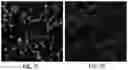 Fig. 13 - SYSTEMS AND METHODS FOR IDENTIFYING RARE CELLS