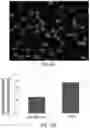 Fig. 21 - SYSTEMS AND METHODS FOR IDENTIFYING RARE CELLS