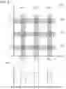 Fig. 05 - Apparatus and methods for particle analysis and autofluorescence discrimination