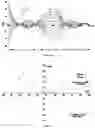 Fig. 25 - Quantitative auxiliary-free chirality sensing with a metal probe