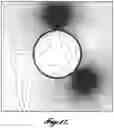 Fig. 13 - Method and apparatus for the detection of corrosion under insulation (CUI), corrosion under fireproofing (CUF), and far side corrosion on carbon steel piping and plates