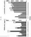 Fig. 41 - NEUROTRANSMITTER-BASED BRAIN MAPPING METHOD AND USE OF BRAIN MAP