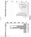 Fig. 42 - NEUROTRANSMITTER-BASED BRAIN MAPPING METHOD AND USE OF BRAIN MAP
